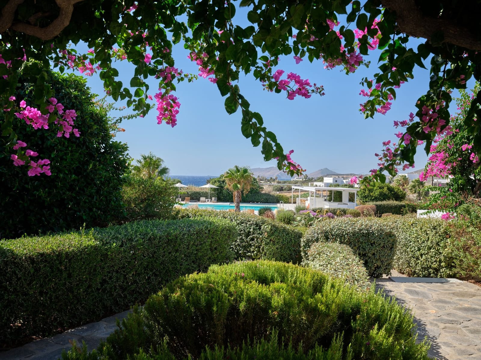 Garden path and bougainvillea at Stagones
